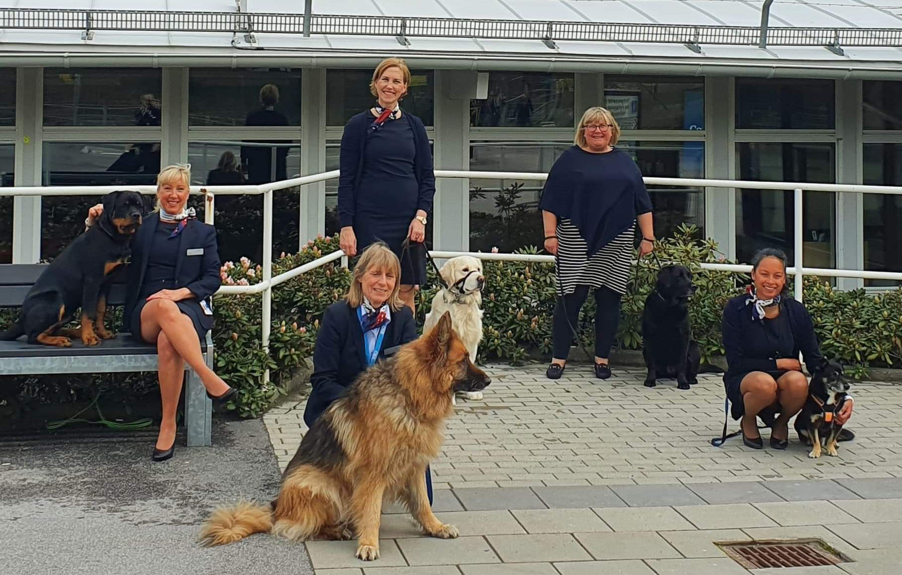 langsom tilpasningsevne Sovesal Resa med djur – Linköping City Airport